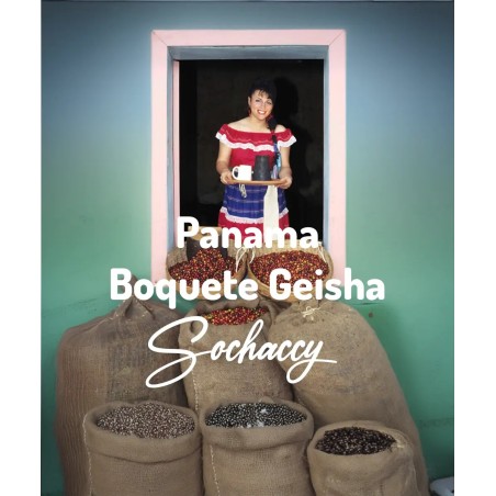 Panama Boquete Geisha | Freshly Roasted Arabica | Coffee Bean