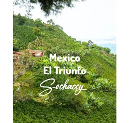 Mexico El Triunfo | Freshly Roasted Arabica | Beans Coffee Coffee Mexico | Sochaccy.Co |