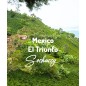 Mexico El Triunfo | Freshly Roasted Arabica | Beans Coffee