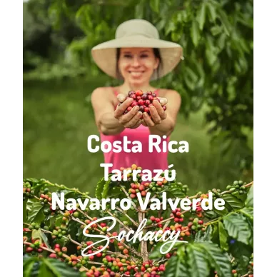 Kostaryka Tarrazú Navarro Valverde | Świeżo Palona Arabica | Kawa Ziarnista