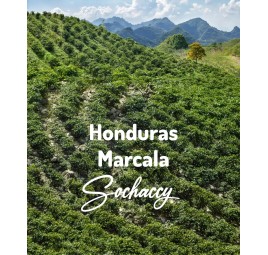 Honduras Marcala | Freshly Roasted Arabica | Beans Coffee Coffee Honduras | Sochaccy.Co |