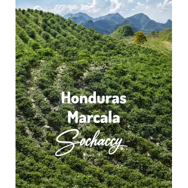 Honduras Marcala | Świeżo Palona Arabica | Kawa Ziarnista