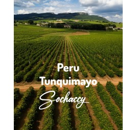 Kawa Peru Tunquimayo | Świeżo Palona Arabica | Kawa Ziarnista | Sochaccy.Co |Peru