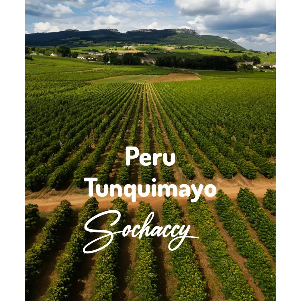 Kawa Peru Tunquimayo Świeżo Palona Arabica Rzemieślnicza Kawa Ziarnista
