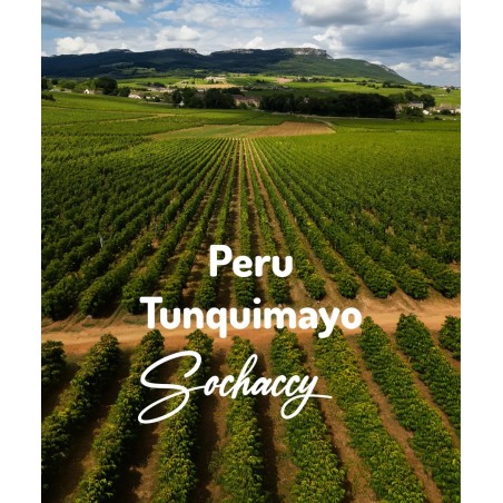 Peru Tunquimayo | Świeżo Palona Arabica | Kawa Ziarnista