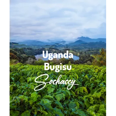 Uganda Bugisu | Świeżo Palona Arabica | Kawa Ziarnista