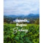 Uganda Bugisu | Freshly Roasted Arabica | Beans Coffee