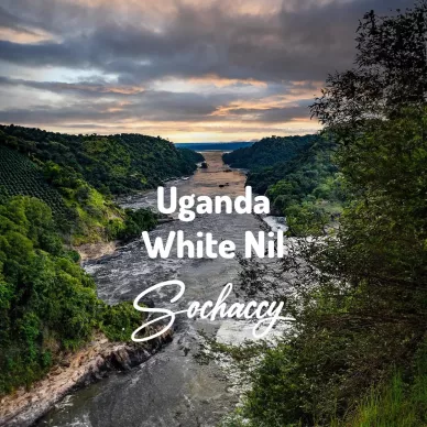 Uganda White Nil | Świeżo Palona Arabica | Kawa Ziarnista