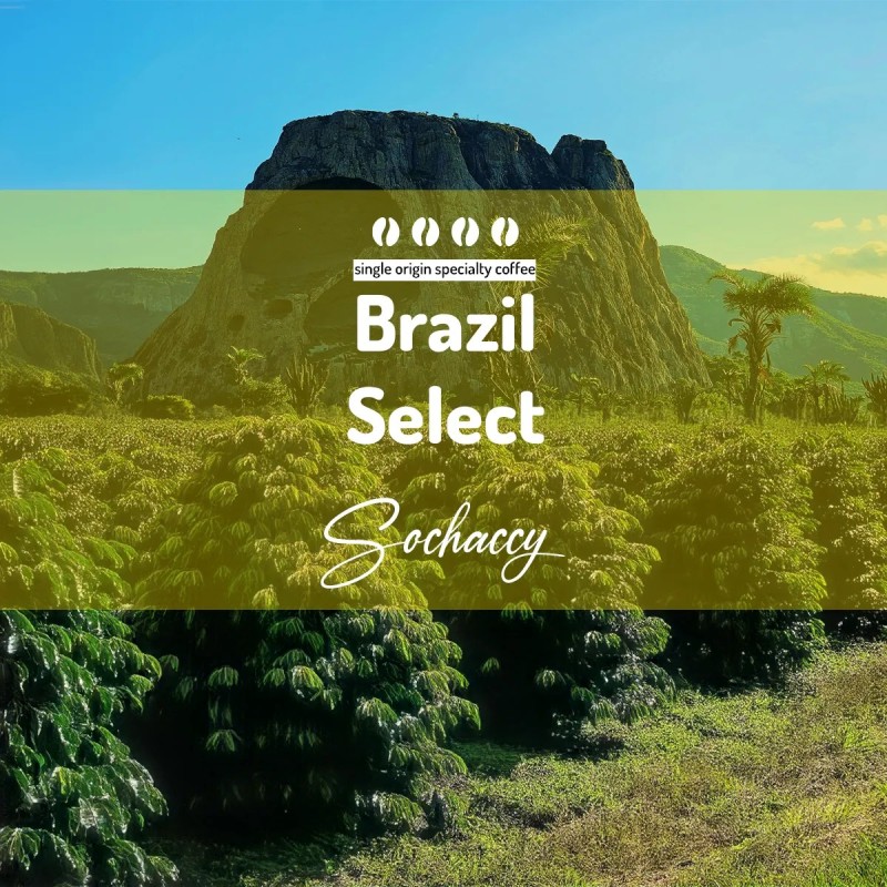 Brazil Select | Freshly Roasted Arabica | Coffee Bean Coffee Brazil | Sochaccy.Co |