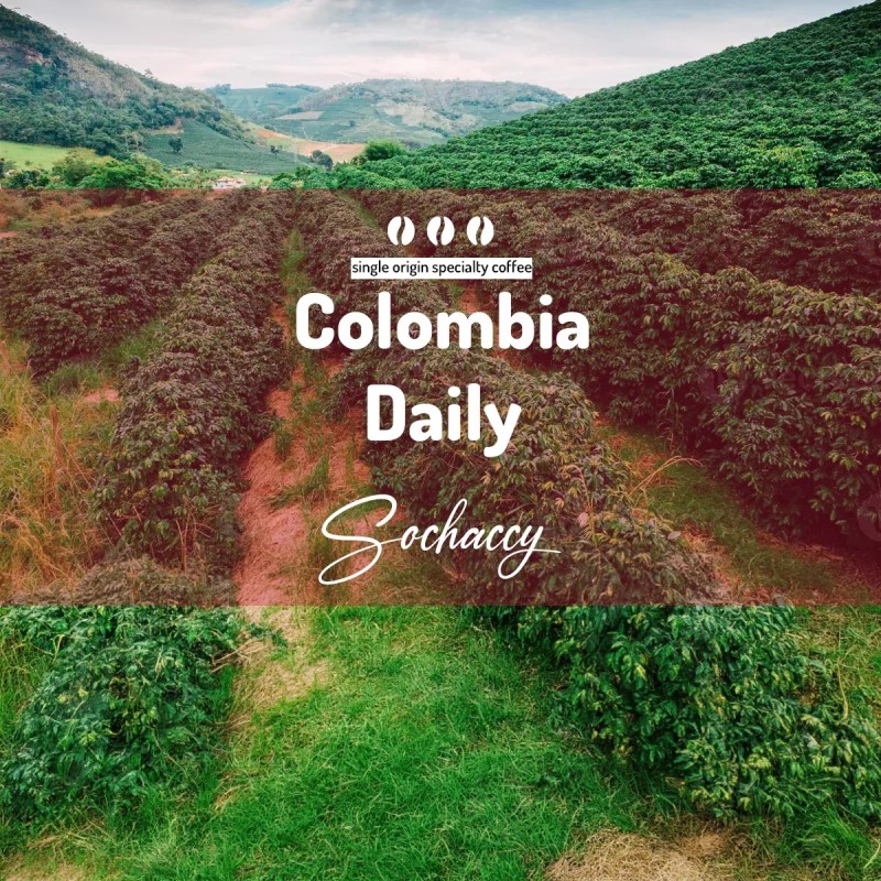 Colombia Daily | Freshly Roasted Arabica | Coffee Bean Coffee Colombia | Sochaccy.Co |