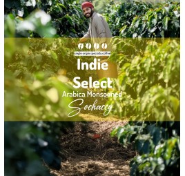 Indie Select Arabica Monsooned  | Coffee Bean | Sochaccy Coffee Roastery Coffee Select | Sochaccy.Co |