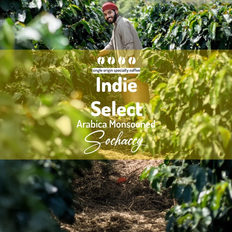 Indie Select Arabica Monsooned  | Coffee Bean | Sochaccy Coffee Roastery Coffee Select | Sochaccy.Co |