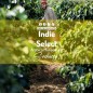 Indie Select Arabica Monsooned | Kawa Ziarnista | Palarnia Kawy Sochaccy