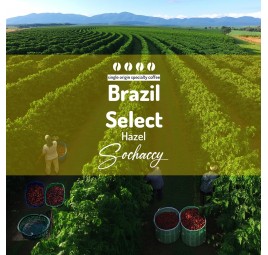 Coffees of  Select | Freshly Roasted Arabica & Robusta  | Sochaccy.Co |