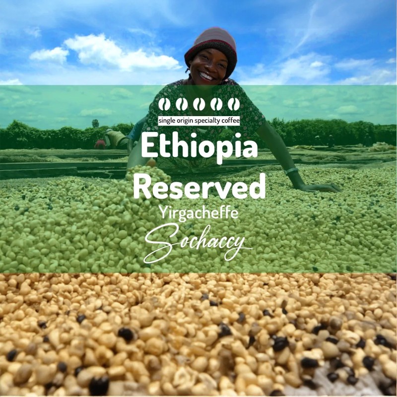 Ethiopia Reserved | Freshly Roasted Arabica | Coffee Beans Coffee Reserved | Sochaccy.Co |