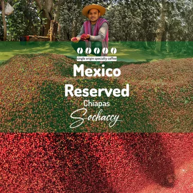 Meksyk Reserved Chiapas Kawa Ziarnista Palarnia Kawy Sochaccy