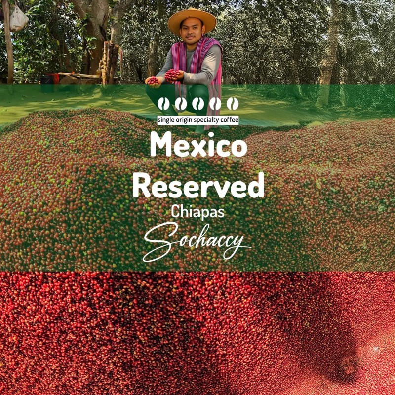 Mexico Reserved Chiapas | Whole Bean Coffee | Sochaccy Coffee Roastery Coffee Reserved | Sochaccy.Co |