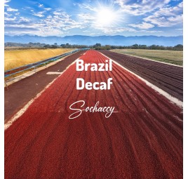 Brazil Decaf | Whole Bean Coffee | Sochaccy Coffee Roastery Coffee Decaf coffee | Sochaccy.Co |