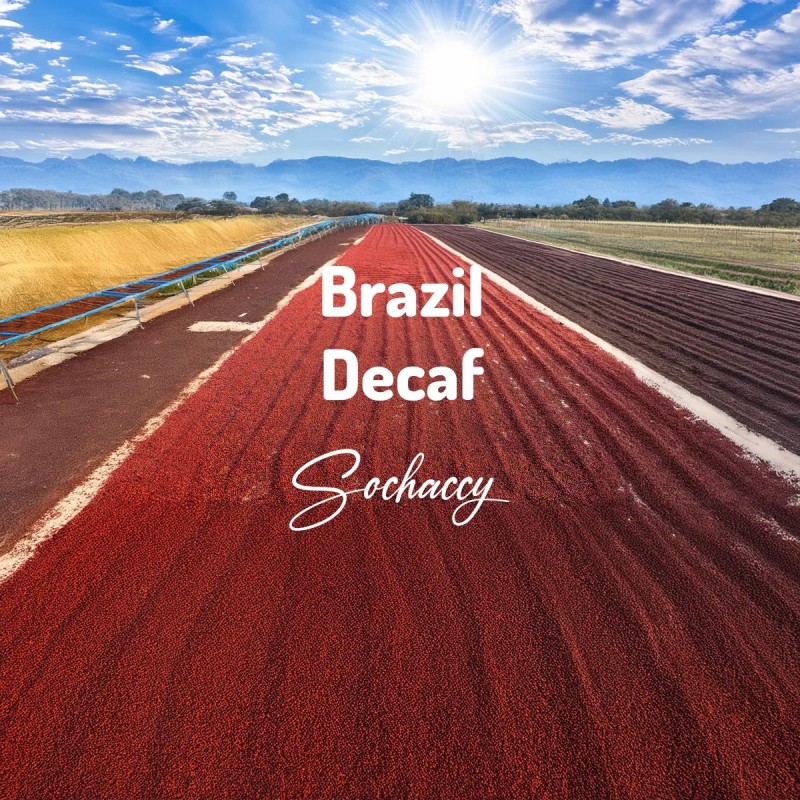 Brazil Decaf | Whole Bean Coffee | Sochaccy Coffee Roastery Coffee Decaf coffee | Sochaccy.Co |