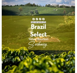 Brazil Reserved | Whole Bean Coffee | Sochaccy Coffee Roastery Coffee Reserved | Sochaccy.Co |