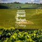 Coffees of  the world | Freshly Roasted Arabica & Robusta  | Sochaccy.Co |