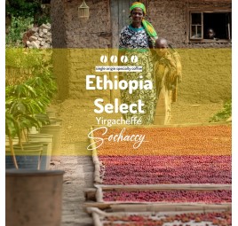 Coffees of  Ethiopia | Freshly Roasted Arabica & Robusta  | Sochaccy.Co |