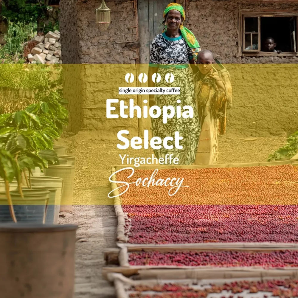 Etiopia Select Yirgacheffe Kawa Ziarnista Palarnia Kawy Sochaccy