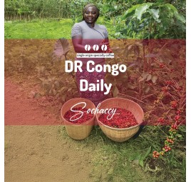 Congo Daily | Bean Coffee | Sochaccy Coffee Roastery Coffee Daily | Sochaccy.Co |