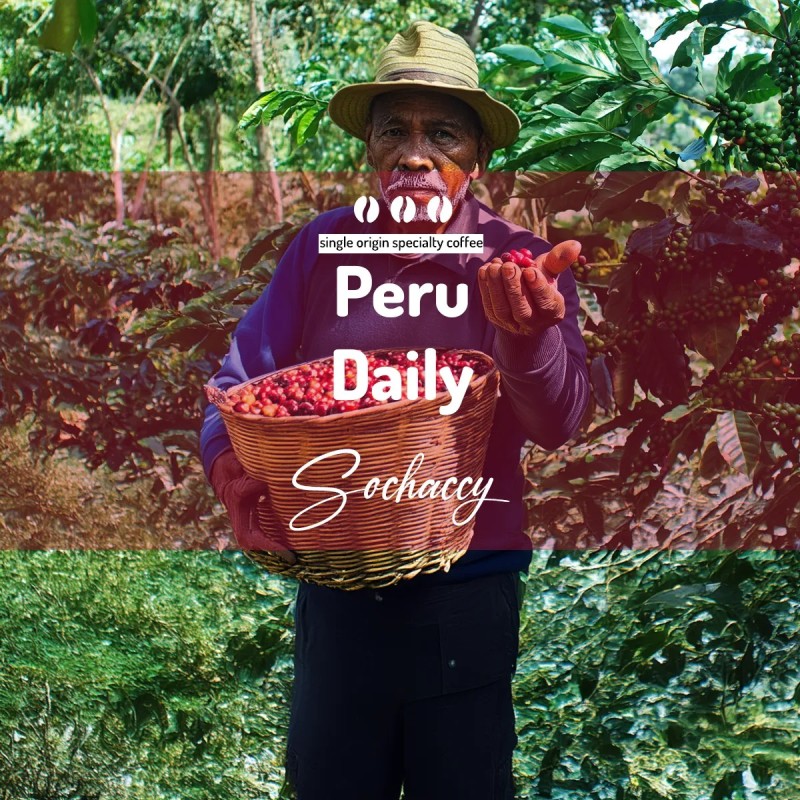 Peru Daily | Whole Bean Coffee | Sochaccy Coffee Roastery Coffee Daily | Sochaccy.Co |