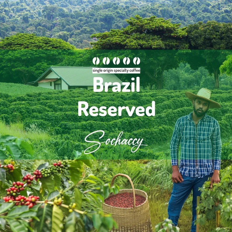 Brazil Reserved | Whole Bean Coffee | Sochaccy Coffee Roastery Coffee Reserved | Sochaccy.Co |