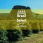 Brazylia Select Santos| Świeżo Palona Arabica | Kawa Ziarnista