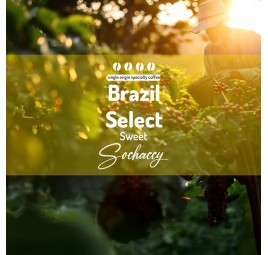 Coffees of  Select | Freshly Roasted Arabica & Robusta  | Sochaccy.Co |