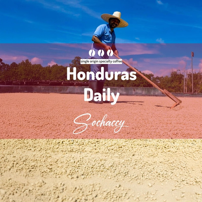 Honduras Daily | Palarnia Kawy Sochaccy | Kawa Ziarnista Coffee Daily | Sochaccy.Co |