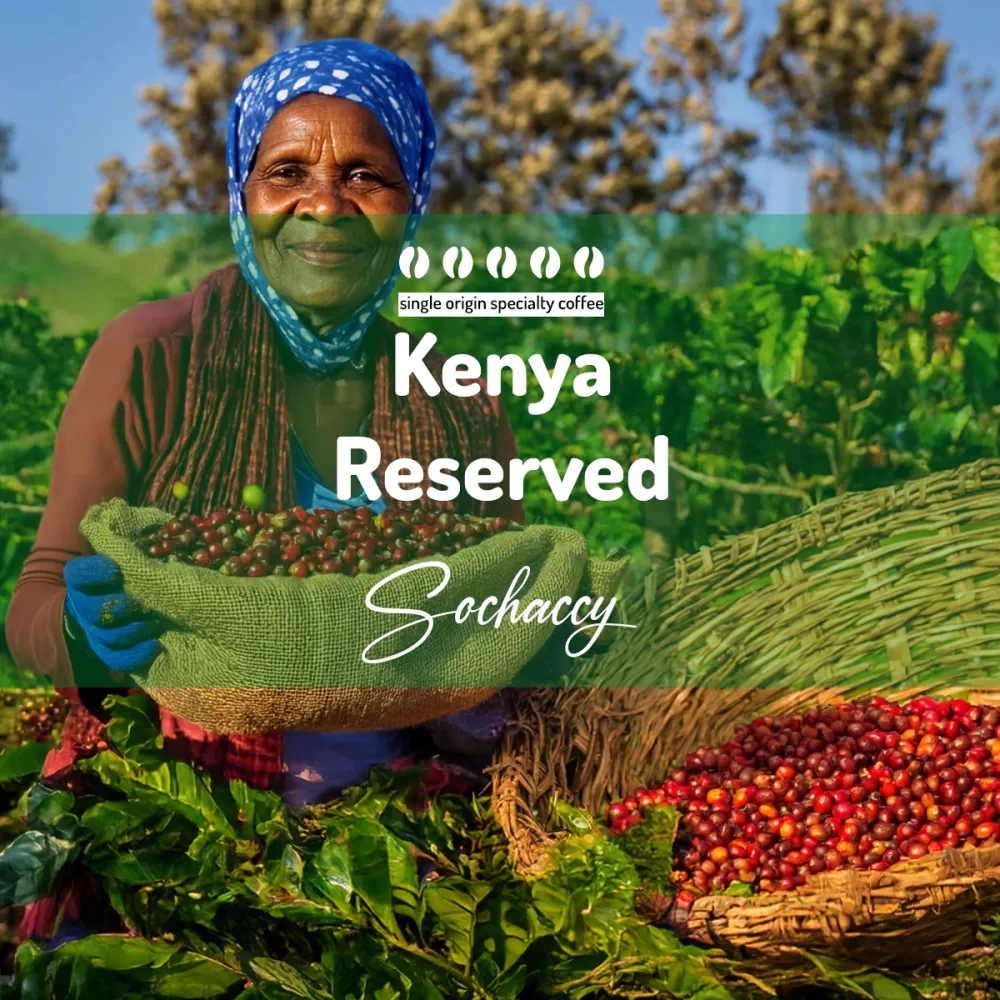 Kenia Reserved Kawa Ziarnista Palarnia Kawy Sochaccy