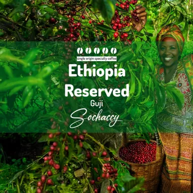 Etiopia Reserved Guji | Kawa Ziarnista | Palarnia Kawy Sochaccy