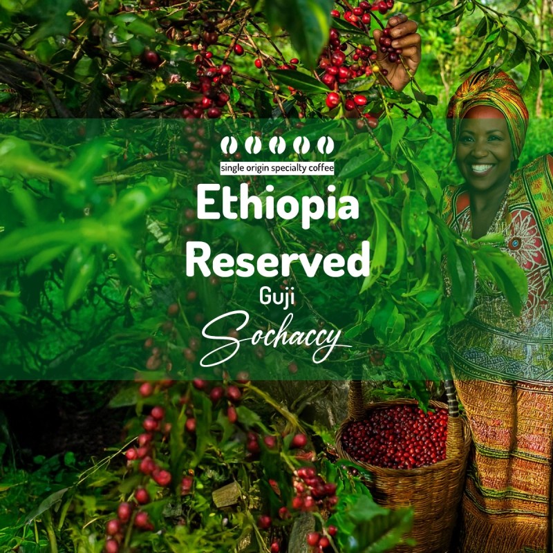 Kawa Etiopia Reserved Guji | Kawa Ziarnista | Palarnia Kawy Sochaccy | Sochaccy.Co |Strona główna