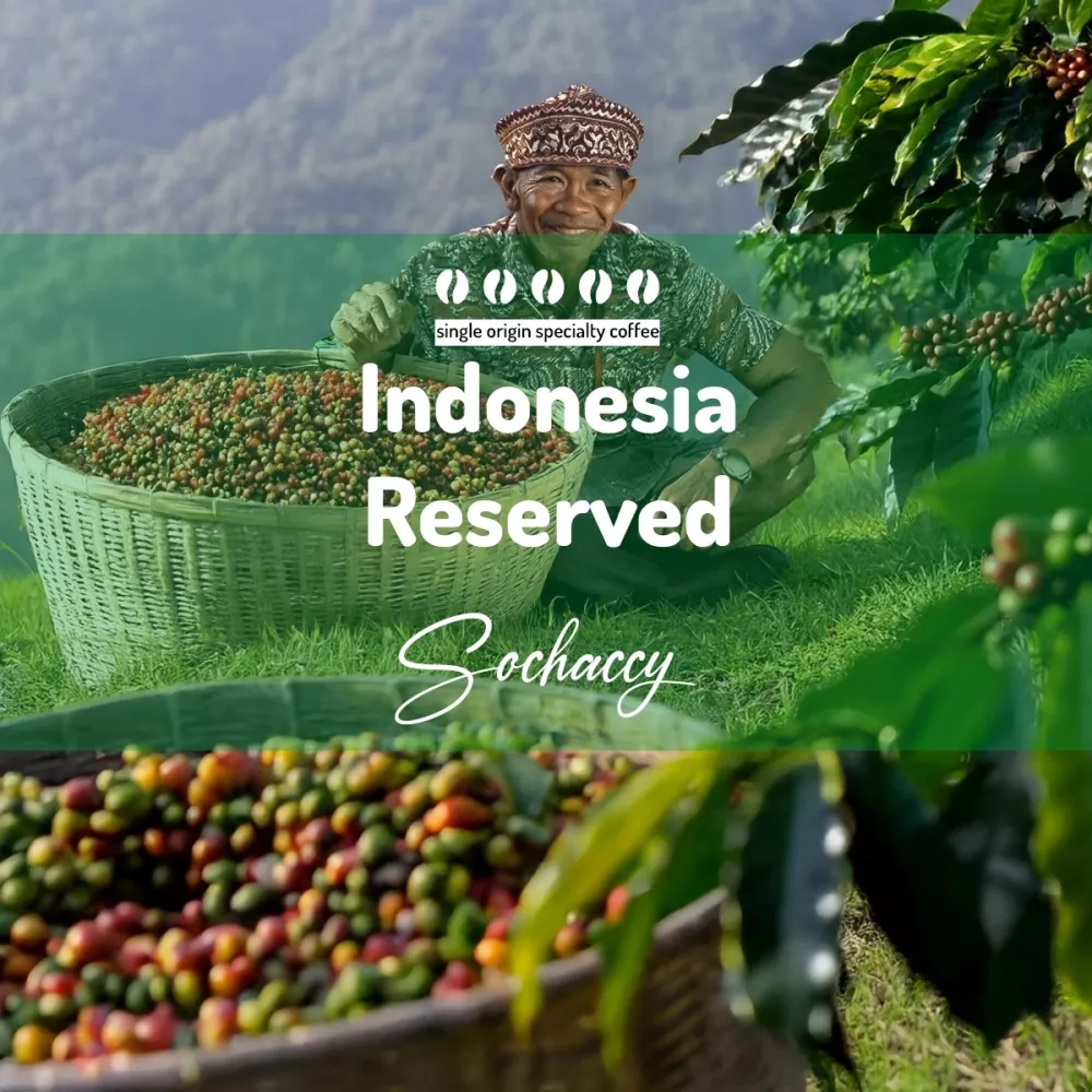 Indonezja Reserved Kawa Ziarnista Palarnia Kawy Sochaccy