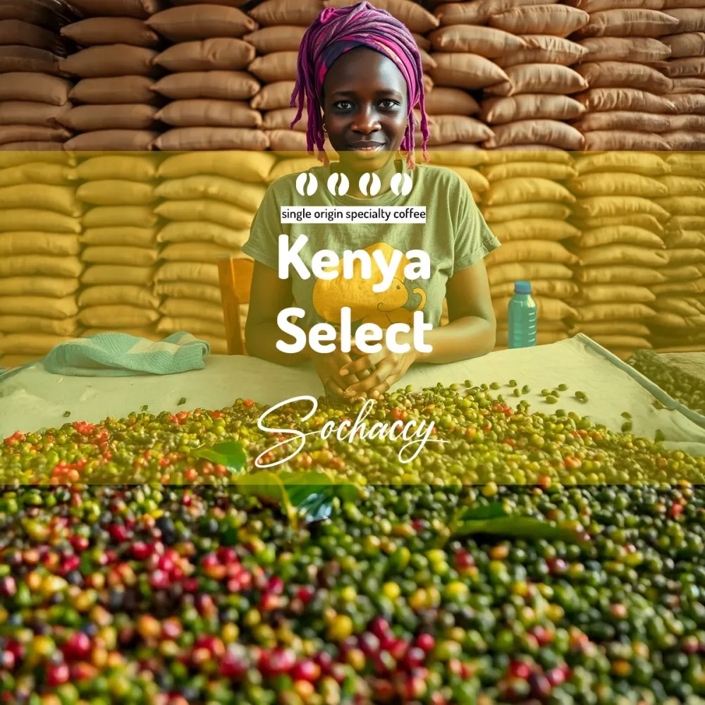 Kenia Select | Świeżo Palona Arabica | Kawa Ziarnista