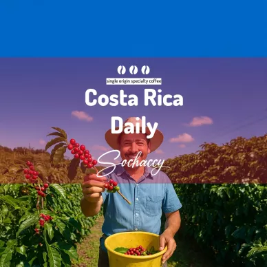 Kostaryka Daily | Świeżo Palona Arabica | Kawa Ziarnista