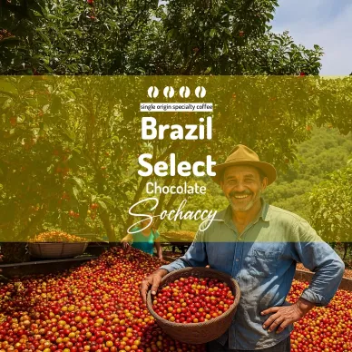 Brazylia Select Chocolate | Świeżo Palona Arabica | Kawa Ziarnista