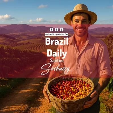 Brazil Daily Santos – plantacja Arabica, rolnik z koszem wiśni; single origin, kawa ziarnista świeżo palona Sochaccy.