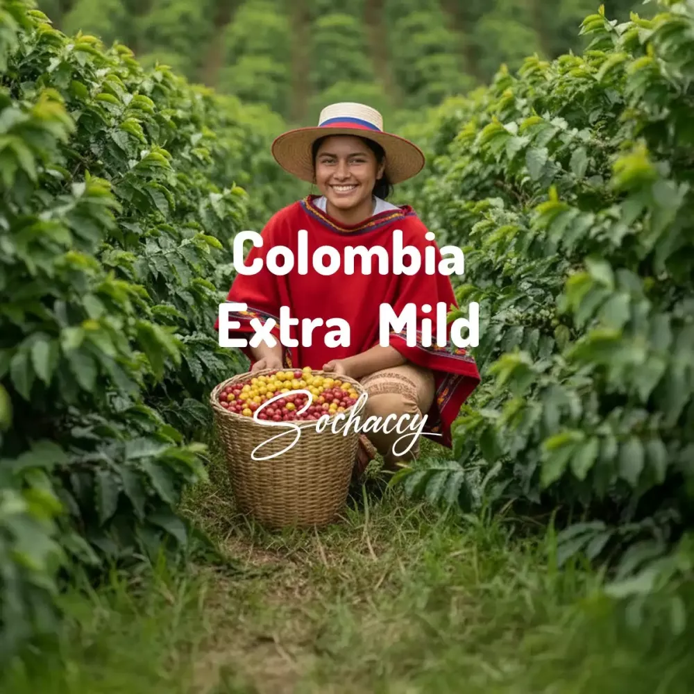 Kolumbia Extra Mild | Świeżo Palona Arabica | Kawa Ziarnista