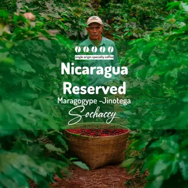 Nikaragua Reserved Jinotega-Maragogype – plantator z koszem wiśni kawy na plantacji | kawa świeżo palona