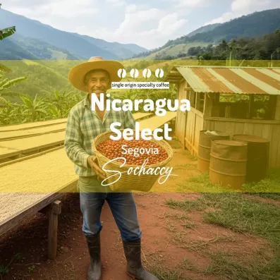 Nikaragua Select Segovia – plantator z koszem wiśni kawy przy suszarniach | kawa świeżo palona Sochaccy