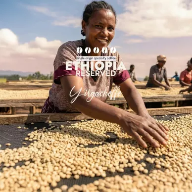 Etiopia Reserved - Świeżo Palona Arabica Kawa Ziarnista