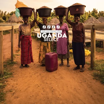 Kawa Uganda Select naturalna z Zombo — Sochaccy.Co