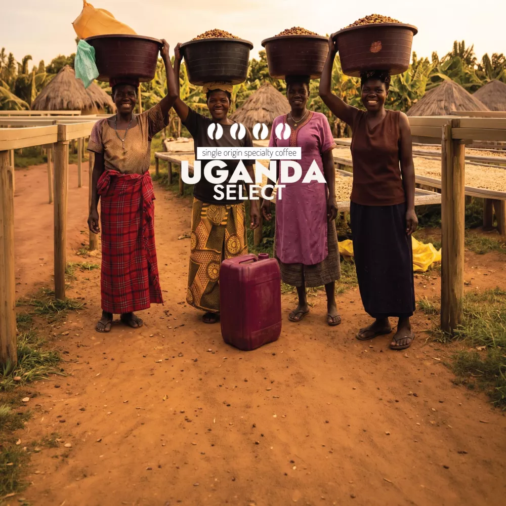 Kawa Uganda Select naturalna z Zombo — Sochaccy.Co