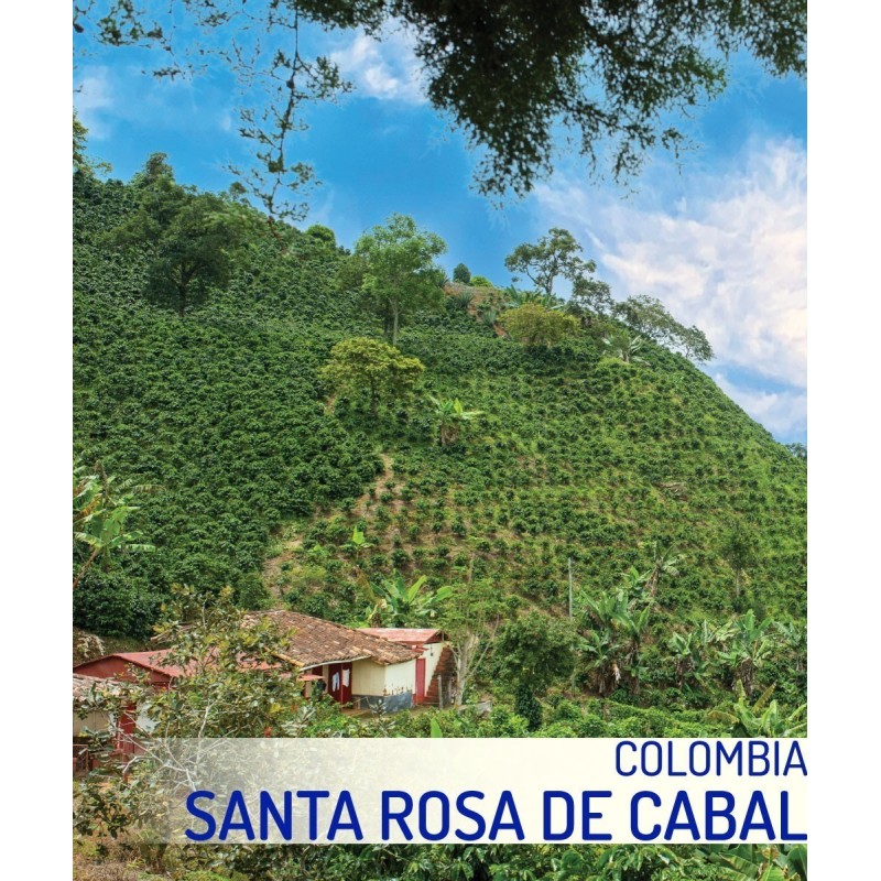 Kawa Colombia Santa Rosa de Cabal-Sochaccy.Co Palarnia Kawy