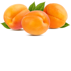 Colombia Huila Supremo Sochaccy.co apricot flavor notes
