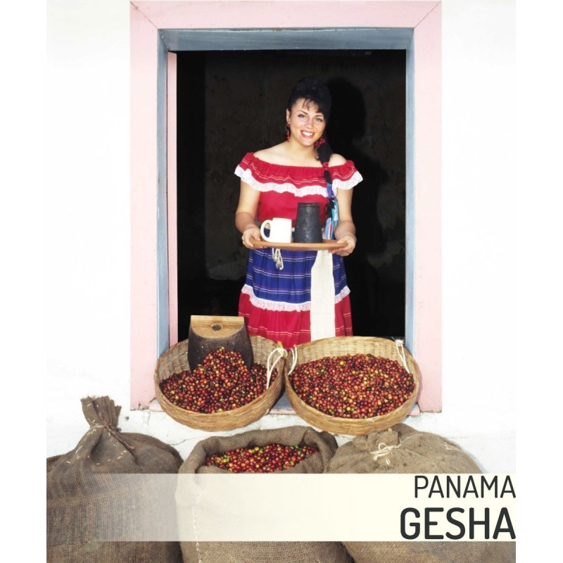 Coffee Panama Boquete Geisha online coffee roaster store